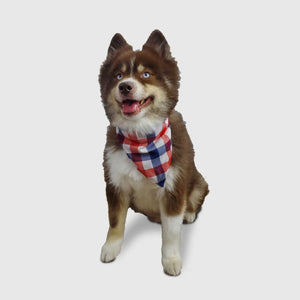 I Licked It, So It's Mine Dog Bandana-Reversible