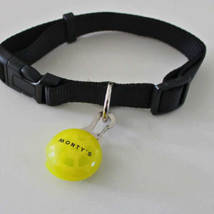 USB Rechargeable Dog Collar/ Harness Light