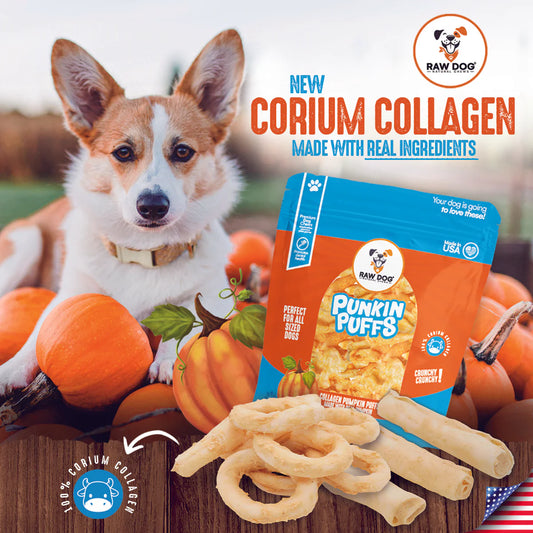 7″ Collagen Stick Pumpkin Flavor