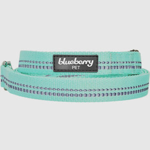 Spring Colors 3M Reflective Soft Padded Safety Leash