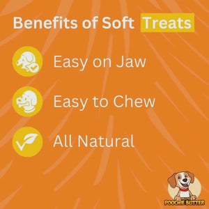 Baked Dog Treat Soft Chewy