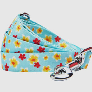 Tropical Yellow Plumeria Flower Dog Leash