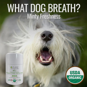 Plaque & Tartar Fighting Gel