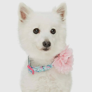 Floral Dog Collar with Detachable Pink Peony