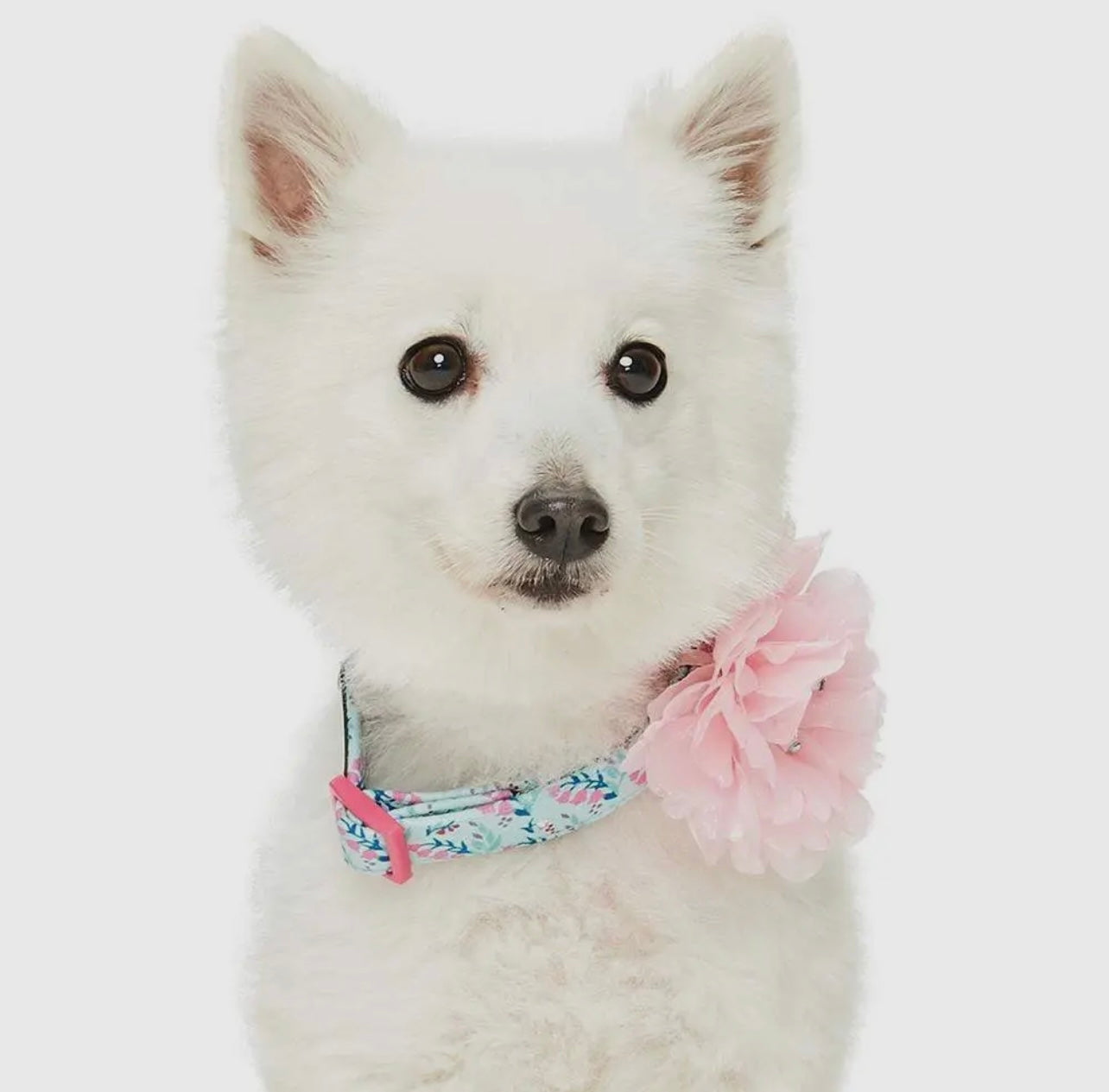 Floral Dog Collar with Detachable Pink Peony