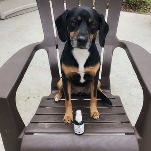 Essential Oil Calming Spray