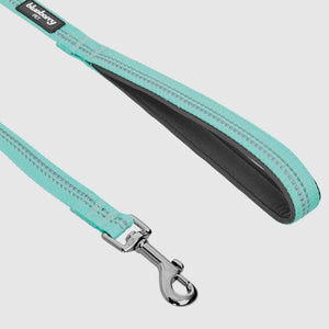 Spring Colors 3M Reflective Soft Padded Safety Leash
