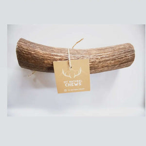 Antlers -Elk