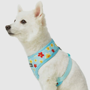 Tropical Yellow Plumeria Flower Dog Harness Vest