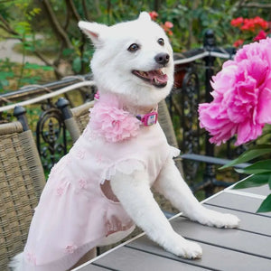 Floral Dog Collar with Detachable Pink Peony