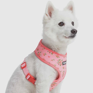 Petal Paws Floral Dog Harness Vest