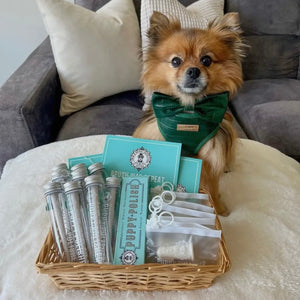 Puppy Polisher Mini Eco Toothbrush (Small)