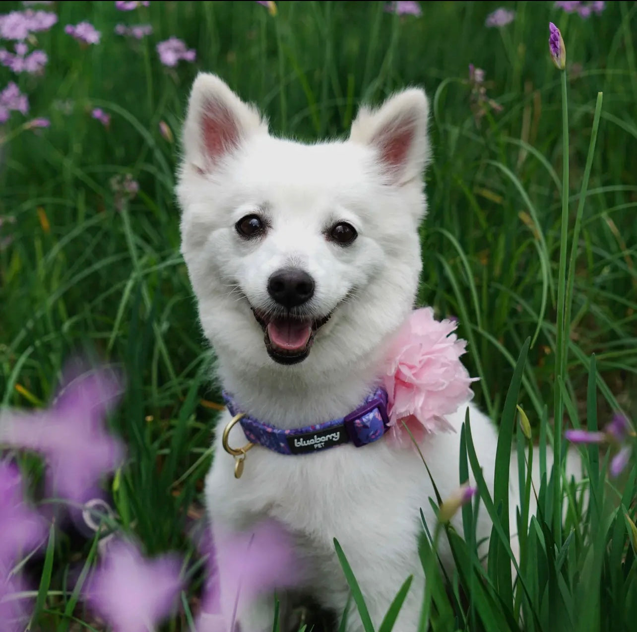 Floral Dog Collar with Detachable Pink Peony