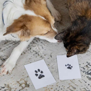 Pet Pawprint Clean-Touch Ink Pad