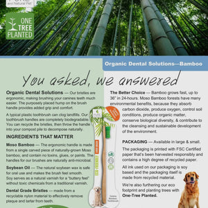 Bamboo Toothbrush - Organic Dental Solutions®