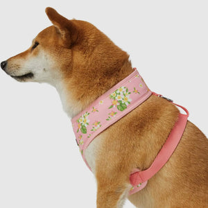 Tropical Yellow Plumeria Flower Dog Harness Vest