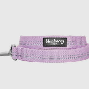 Spring Colors 3M Reflective Soft Padded Safety Leash