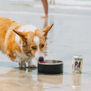 Tailwagger Craft Dog Beer
