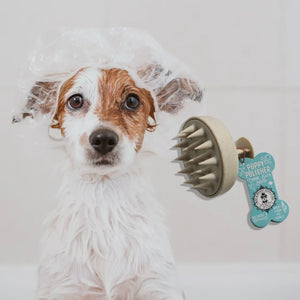 Puppy Polisher Shampoo Brush