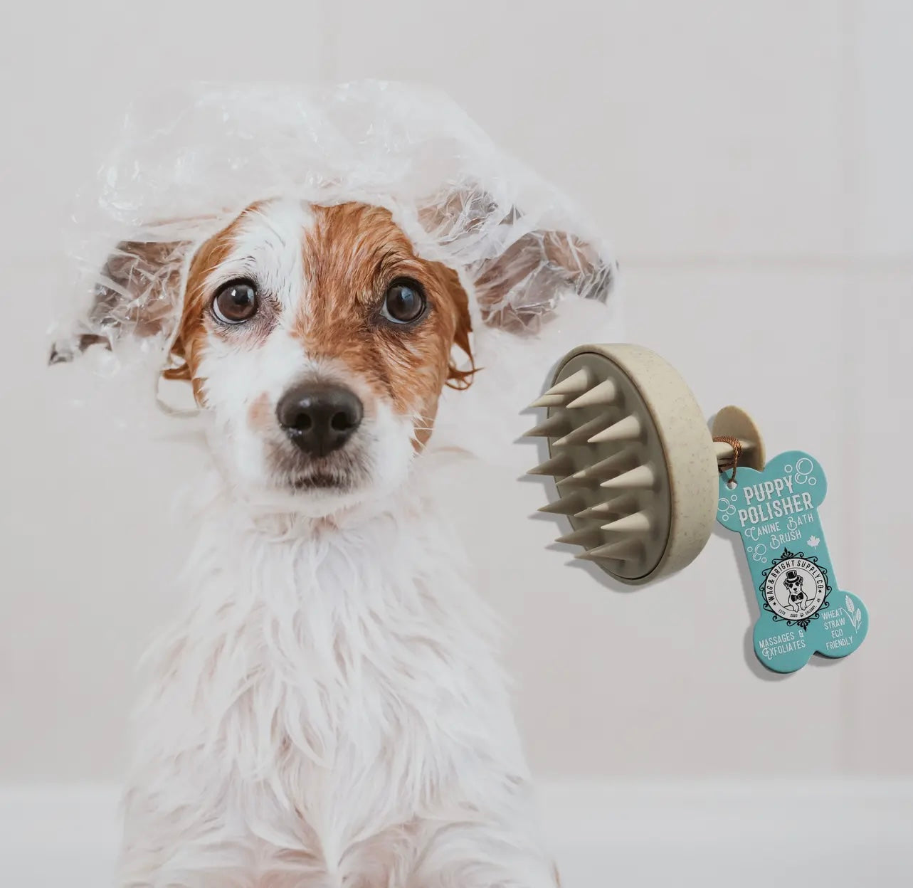 Puppy Polisher Shampoo Brush