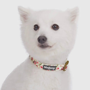 Spring Floral Pattern Light-Weighted Adjustable Dog Collar