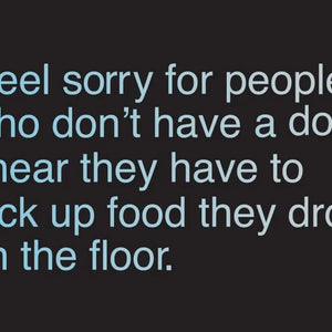 I Feel Sorry Vinyl Sticker