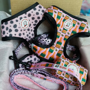 Champagne Reversible Harness