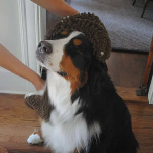 Soggy Doggy Super Shammy