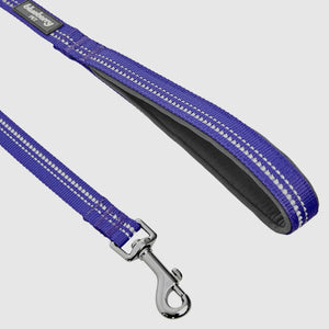 Spring Colors 3M Reflective Soft Padded Safety Leash