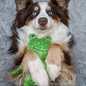 Frog Squeaker