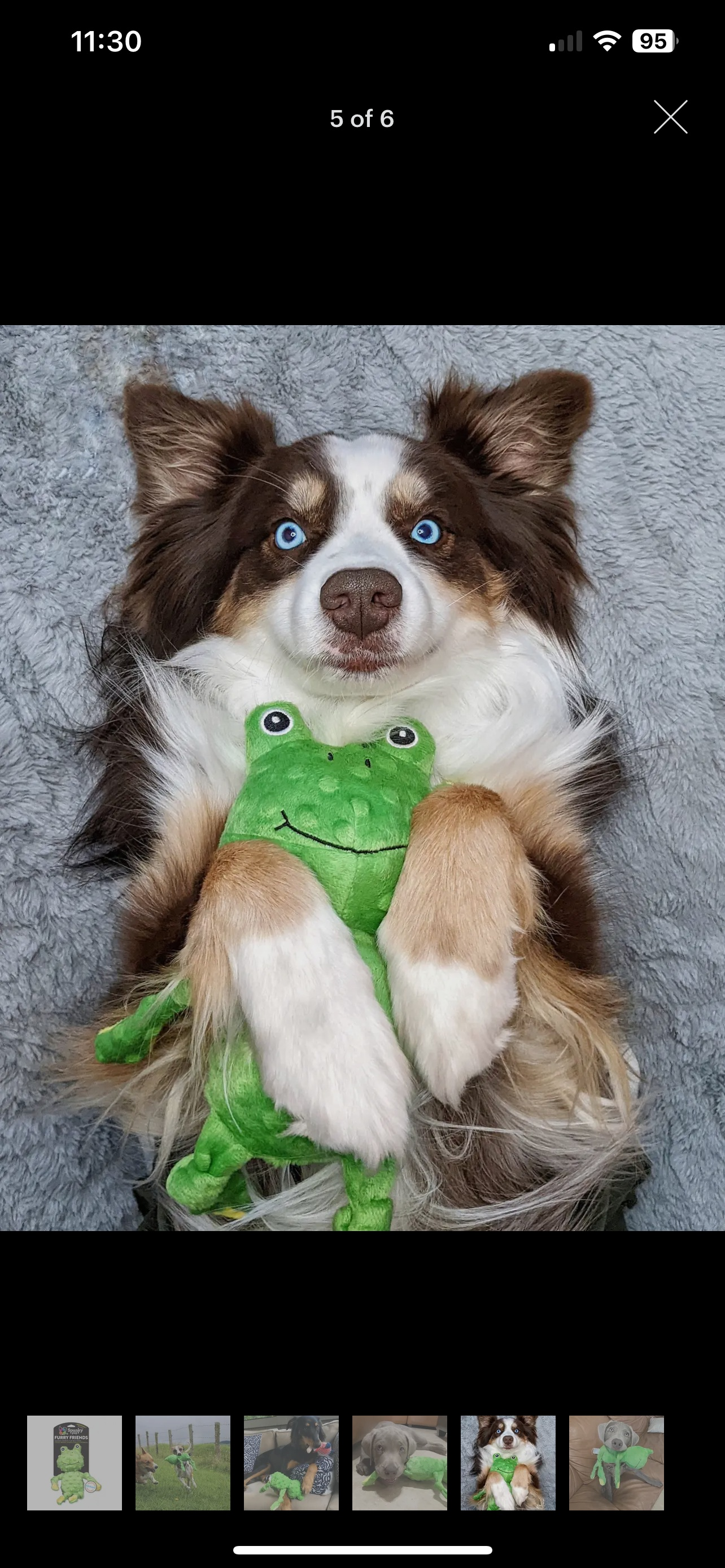 Frog Squeaker