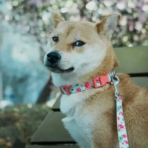 Spring Floral Pattern Light-Weighted Adjustable Dog Collar