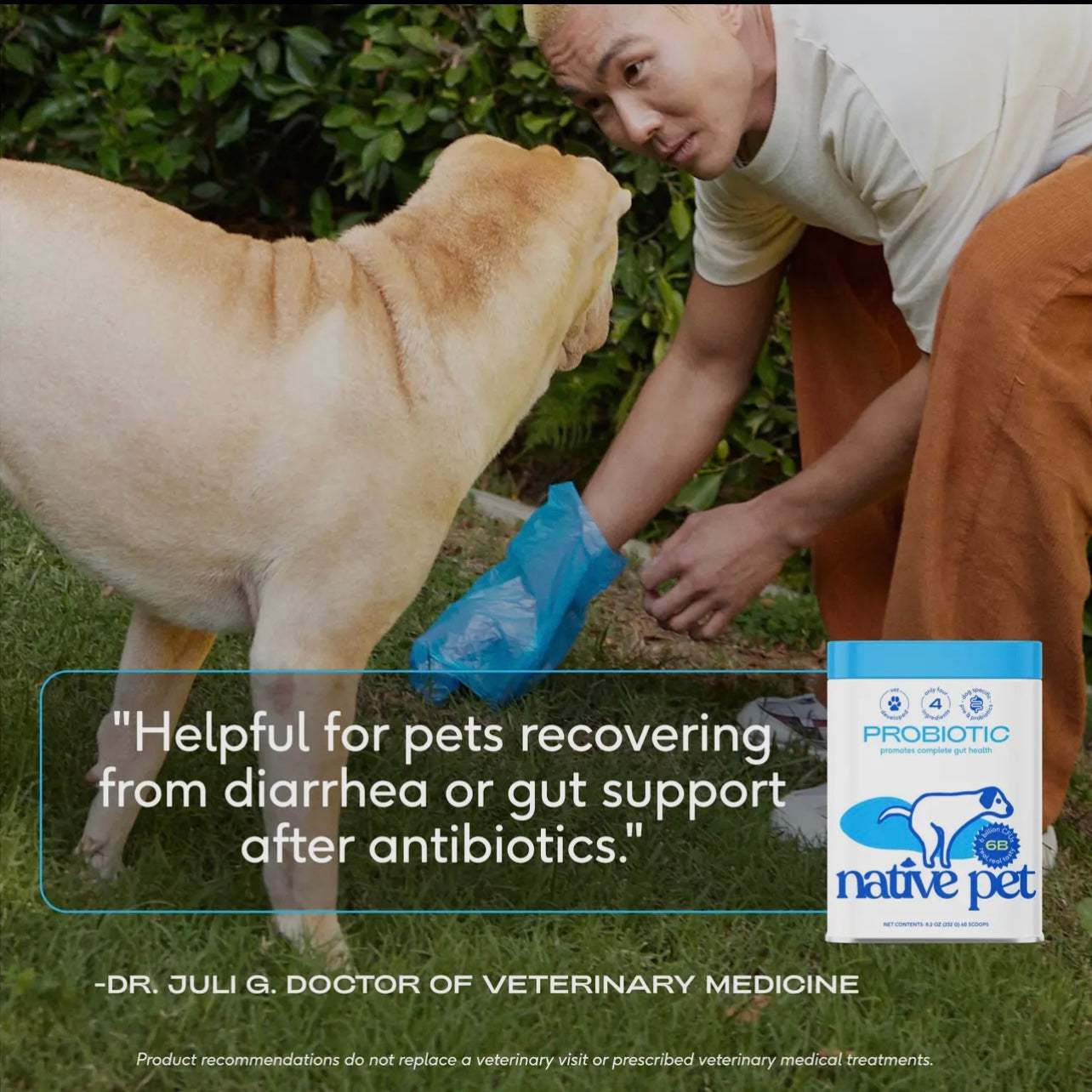 Probiotic & Prebiotic Powder Vet-Formulated Supplement