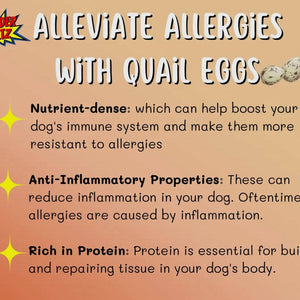 Quail Egg Pretty Picky Powder -
Allergy Relief