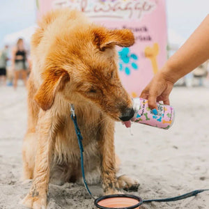 Tailwagger Craft Dog Beer