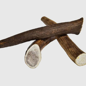 Antlers -Elk