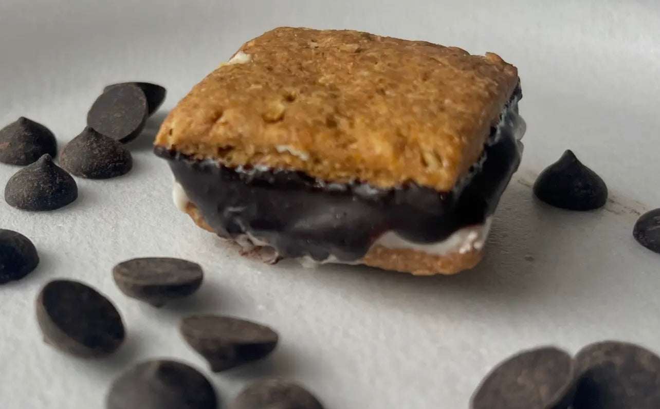 Campfire S’mores for Dogs