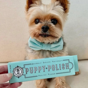 Puppy Polisher Pearl Eco Toothbrush-Extra Small