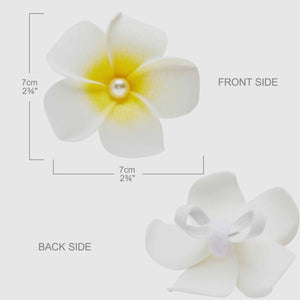 Tropical Yellow Plumeria Flower Dog Collar