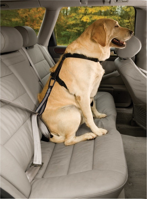 Kurgo Seatbelt Tether