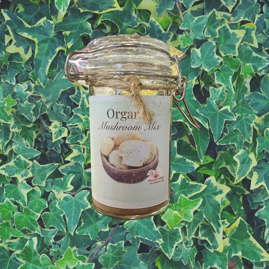 🍄Organic Mushroom Mix Supplement