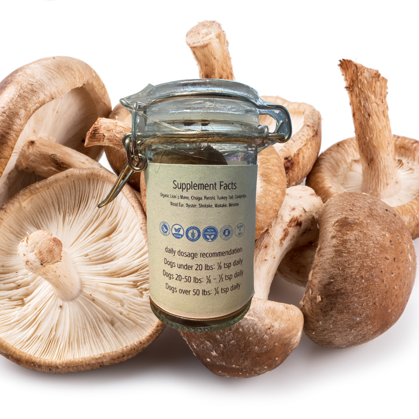 🍄Organic Mushroom Mix Supplement