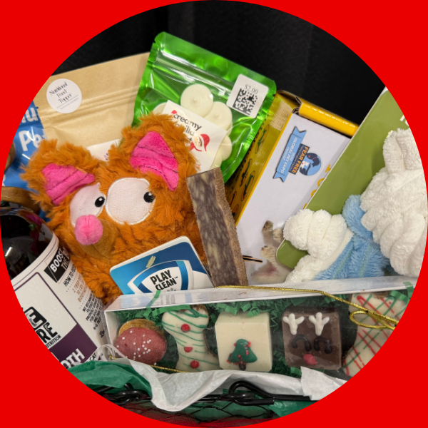 🎄Pawsitively Spoiled Holiday Gift Box