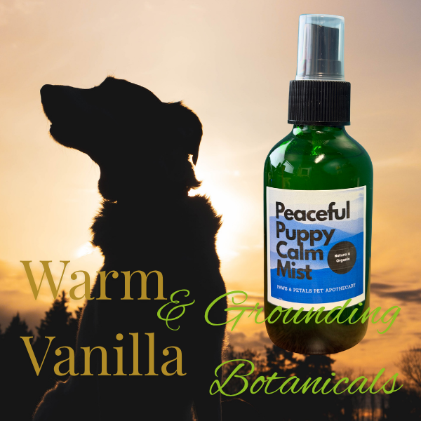🐶💜 Peaceful Puppy Calm Mist – Gentle Comfort & Relaxation 💜🐾