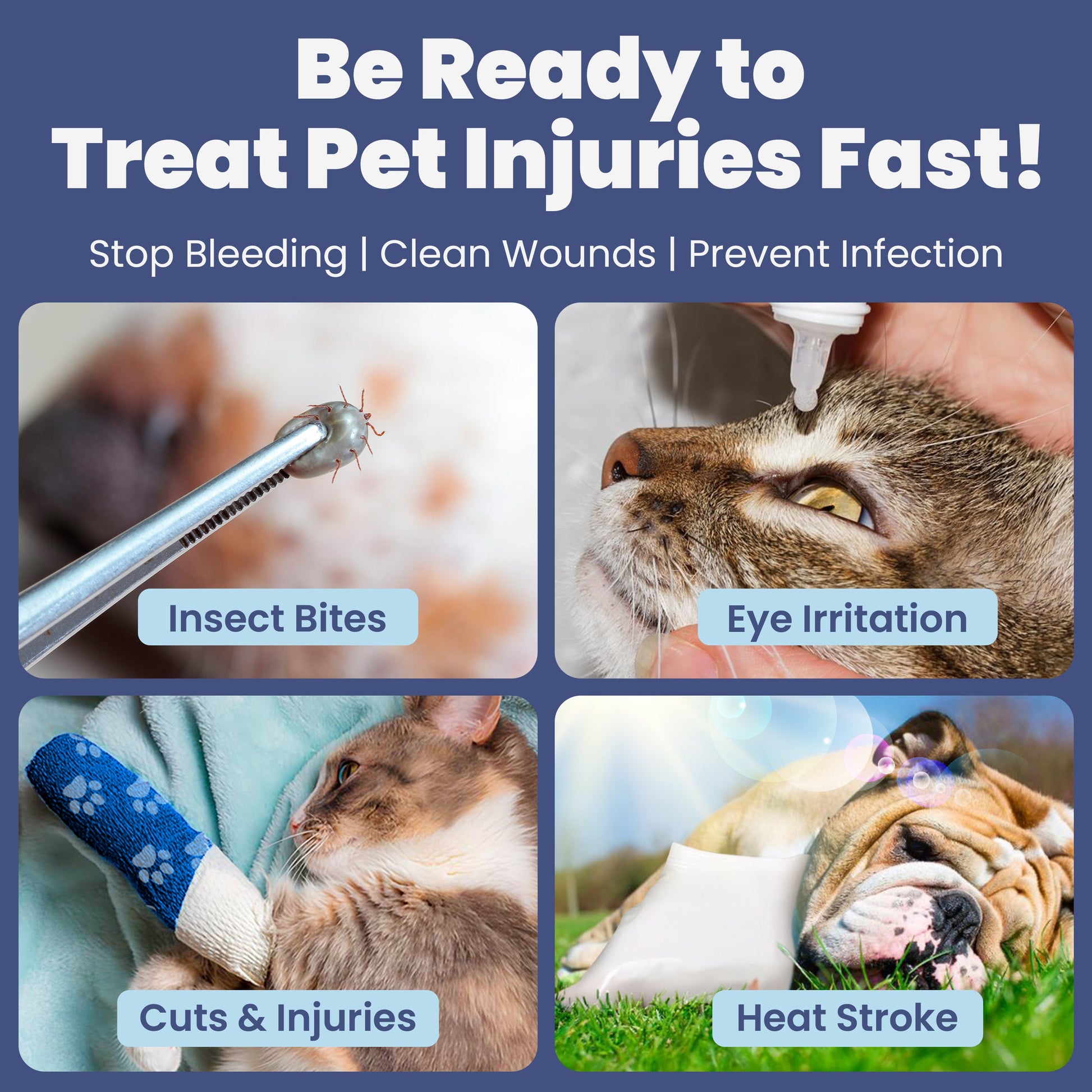 Pet First Aid Kit for Dogs & Cats with Vet-Approved Essentials
