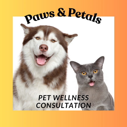 30-minutes Pet Health Consultation