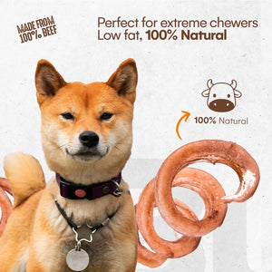6″-8″ Bully Spring Chews
