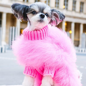 Haute Couture Feathered Luxury Pet Sweater