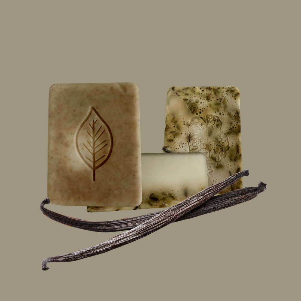 🌿Golden Vanilla Grove Goat Milk Botanical Soap