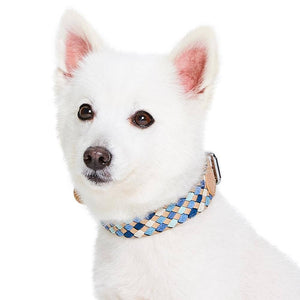 Braided Full Grain Leather Dog Collar